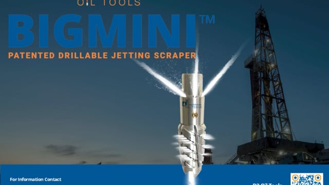 BIGMINI Video-1 Updated